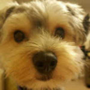 Meet your Posher, Jaclyn